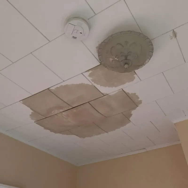 Ceiling Water Damage Repair in Boonville, NC