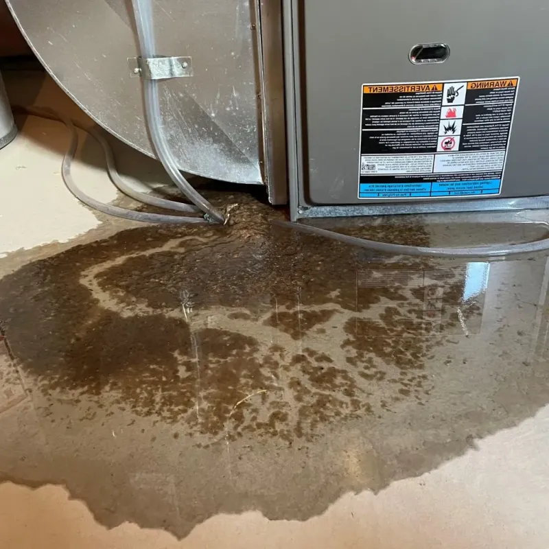 Pipe Burst and Leak Restoration in Boonville, NC