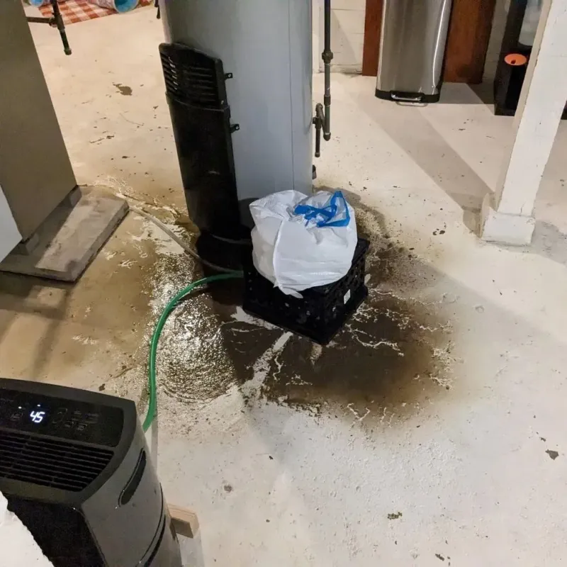 Sewage Backup Cleanup Service in Boonville, NC